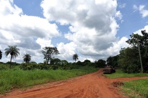 DSC03707 (2) 